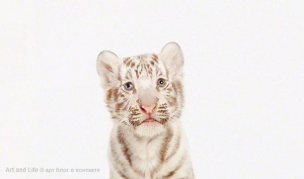 Лия Бикешева