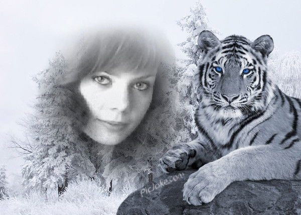 Анна Арчибасова