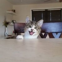 Кирилл Наговицын