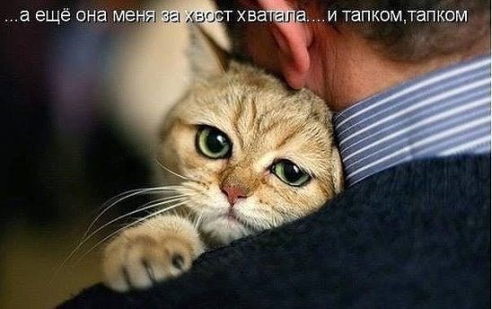 Алексей Осипов