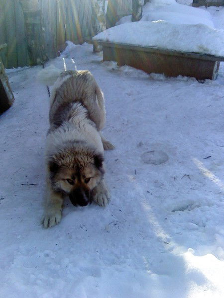 Ольга Селюн