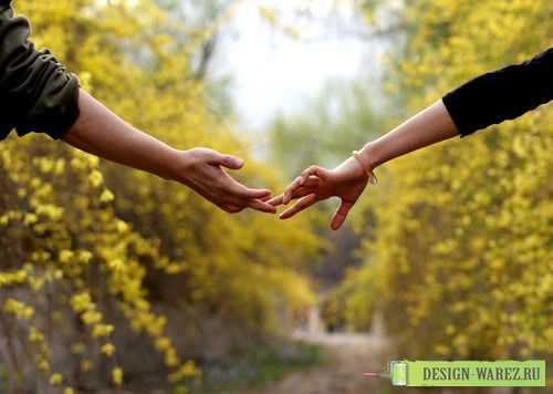 Галина Сомова