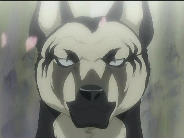 Павел Громыхалов