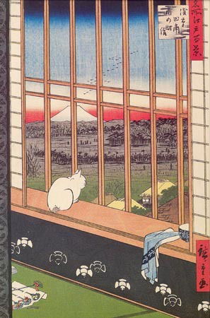 Елена Янчук