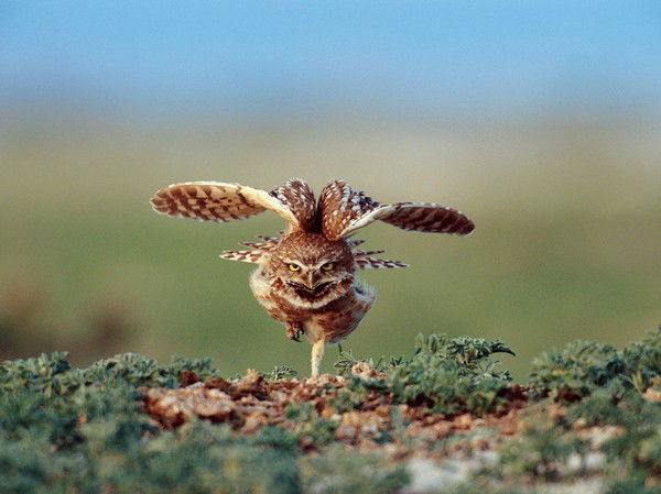 Марина Игнатова