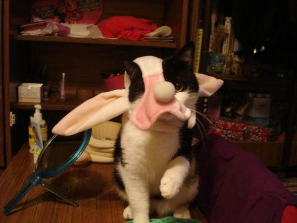 Татьяна Назарова