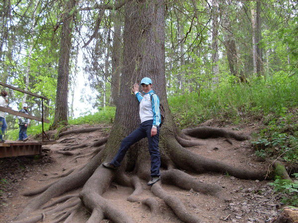 Наталья Ложкина