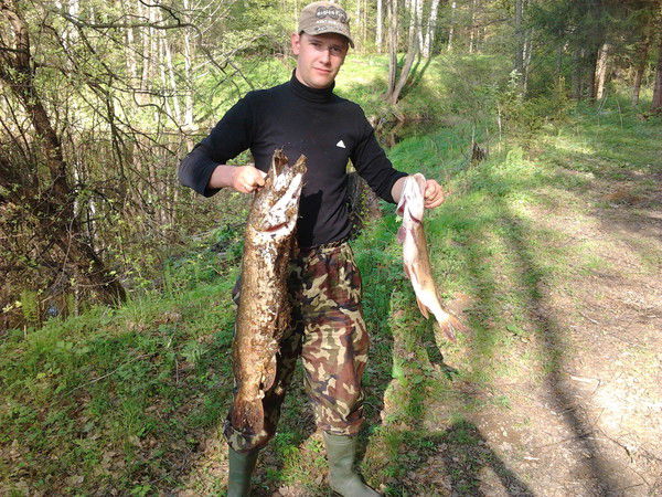 Шурик Владимиров