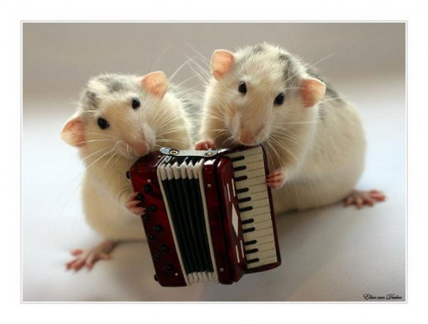 Полина Кондратьева