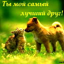 Kevin Хxx