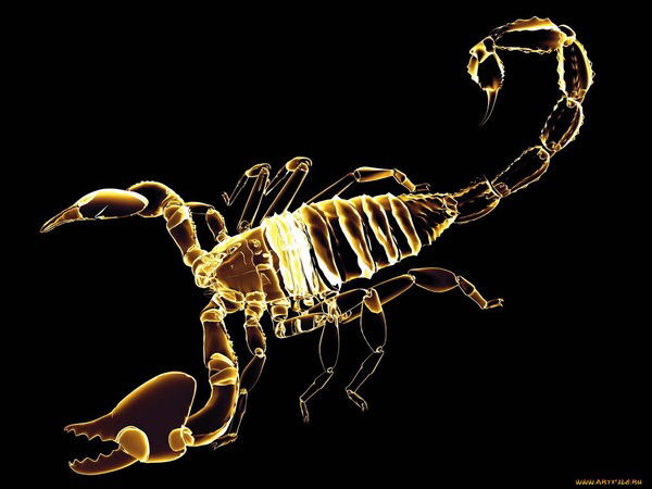 Александр Малюга