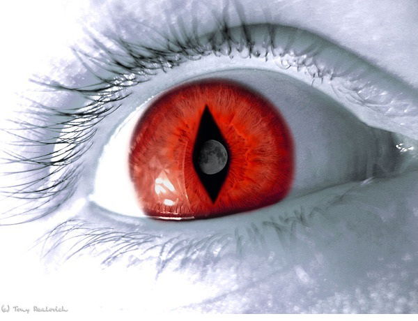 Алексей Волков