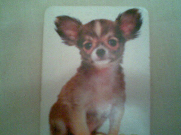 Светлана Батуева