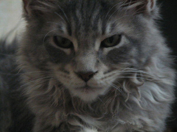 Ирина Случанко