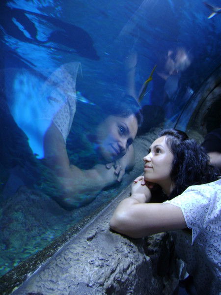 Елена Новикова