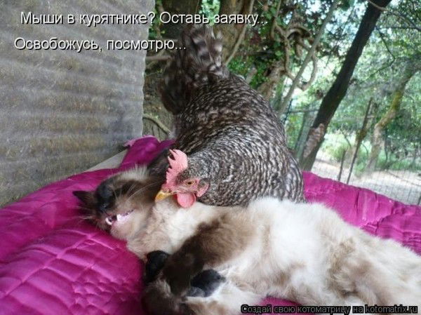 Рома Скаковский