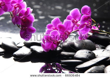 Ольга Иванушко