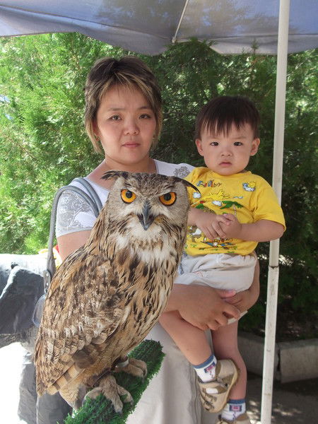 Венера Хегай