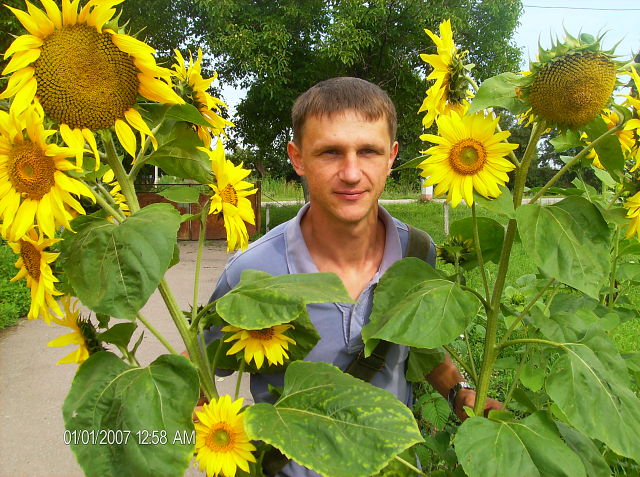 Алексей Лисовой