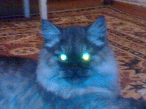 Александр Никитин