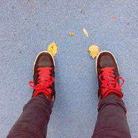 Аделина Михайлова