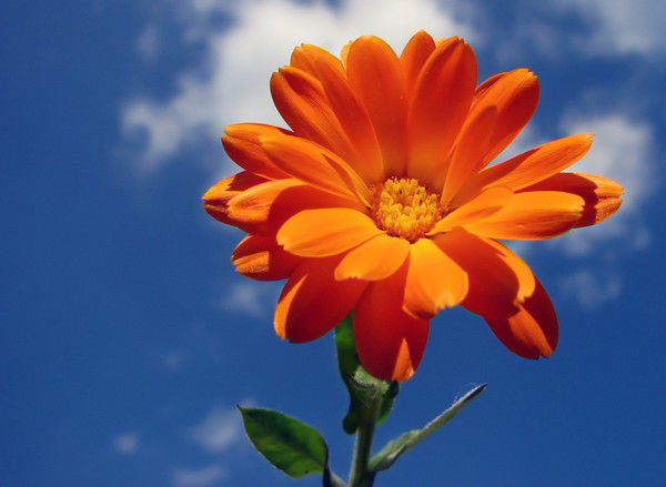 Людмила Мазеева