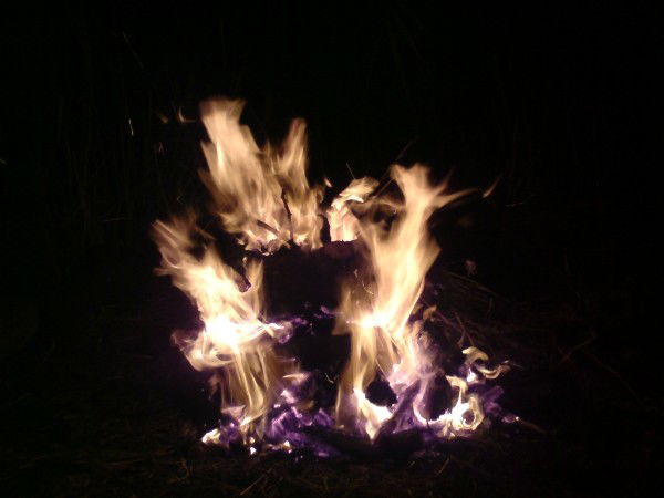 Андрей Павликов