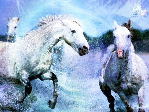 Серик Ибраев