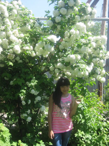 Дана Искакова