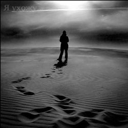 Владимир Данилюк