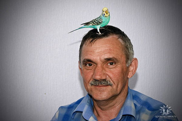 Юрий Ильиных