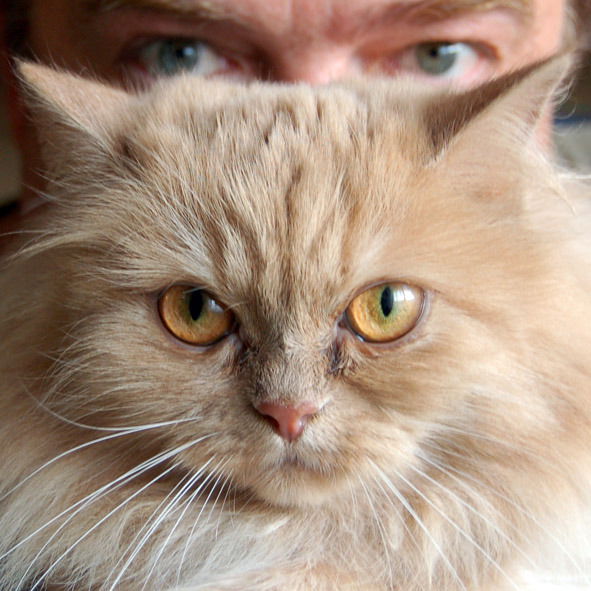 Валерий Кунин