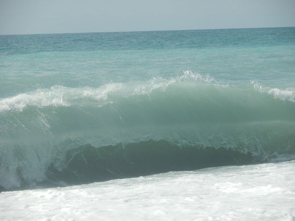 Елена Величко