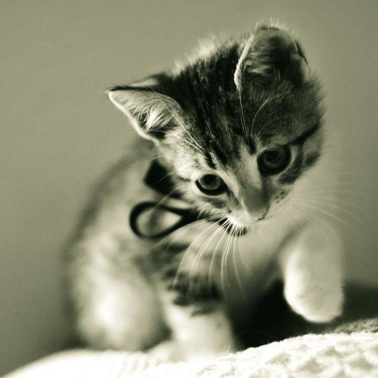 Ирина Новикова