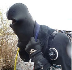 Иван Панарьин