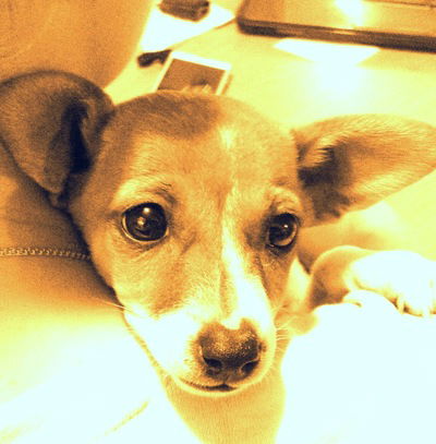 Анастасия Сидоренко