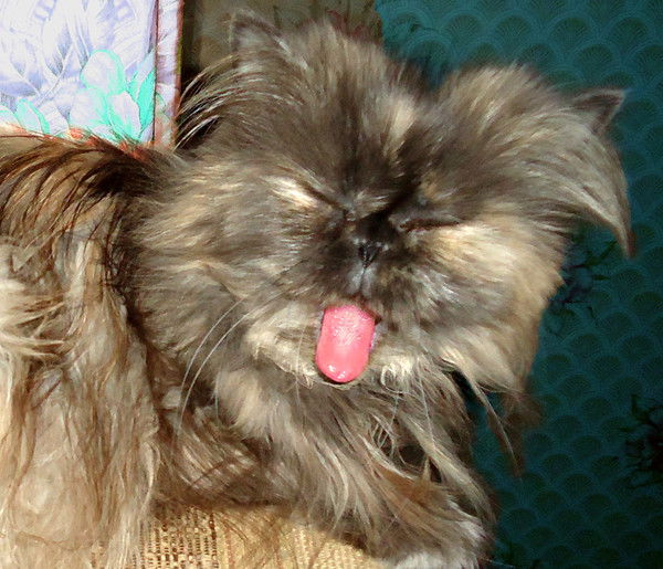 Надежда Скареднова