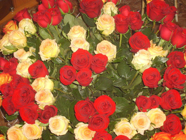 Тамара Береснева