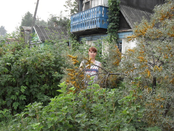 Галина Комиссарова