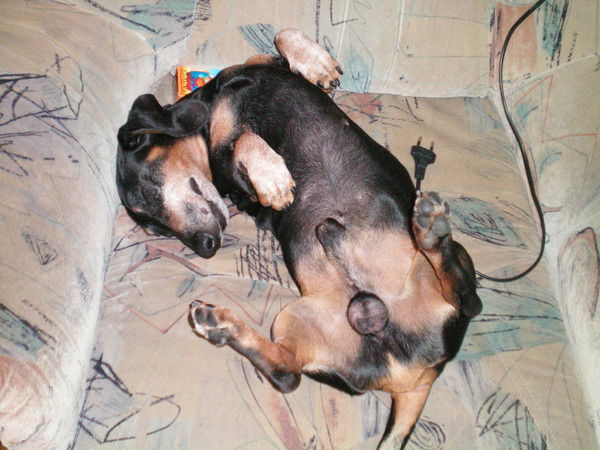 Алексей Мадянов