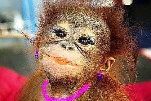 Олеся Чеснокова