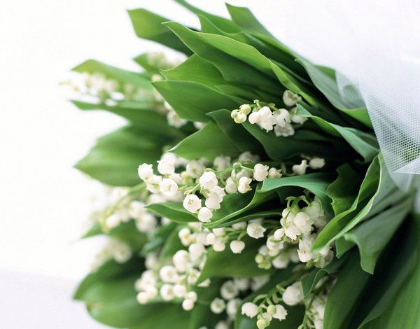 Юлия Приходько