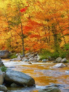 Ольга Абакумова