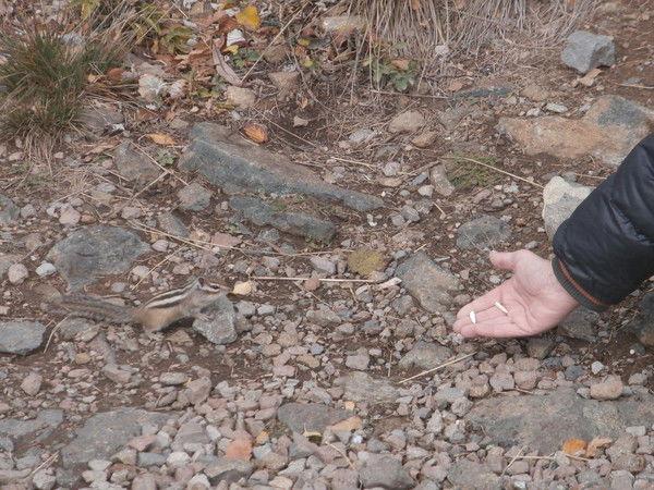 Константин Фабричкин