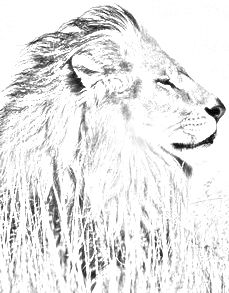 Леонид Бобриченко