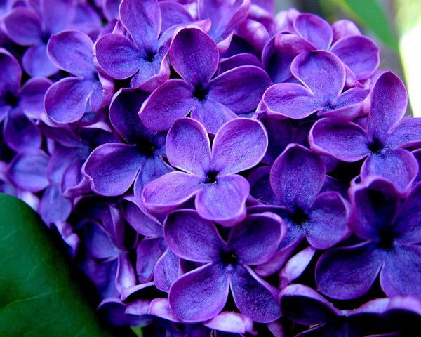 Людмила Поддубная