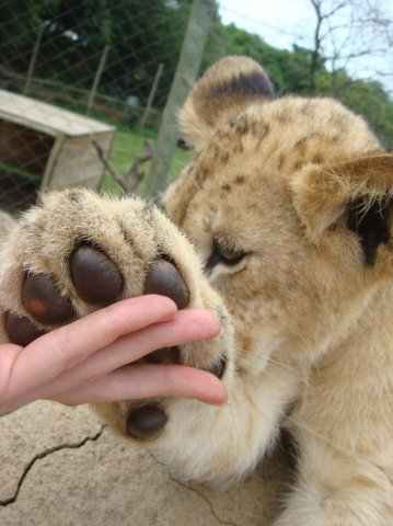 Галя Аношко