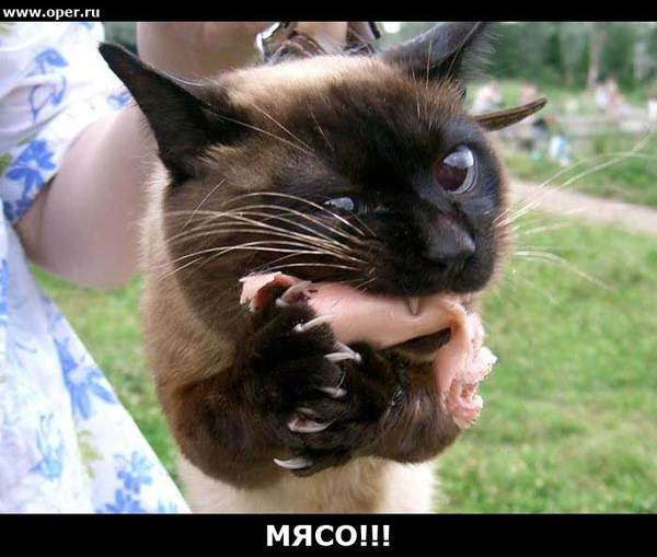 Иван Соловьёв