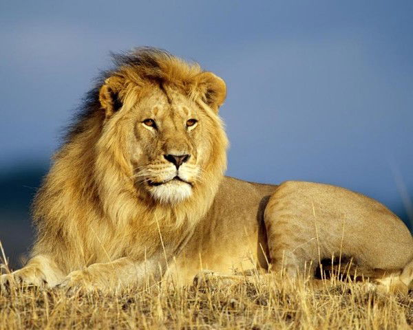 Константин Гарбуз