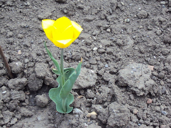 Оксана Дрыгина